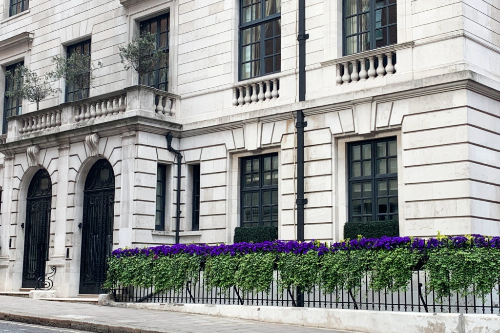 Spring flowers in London