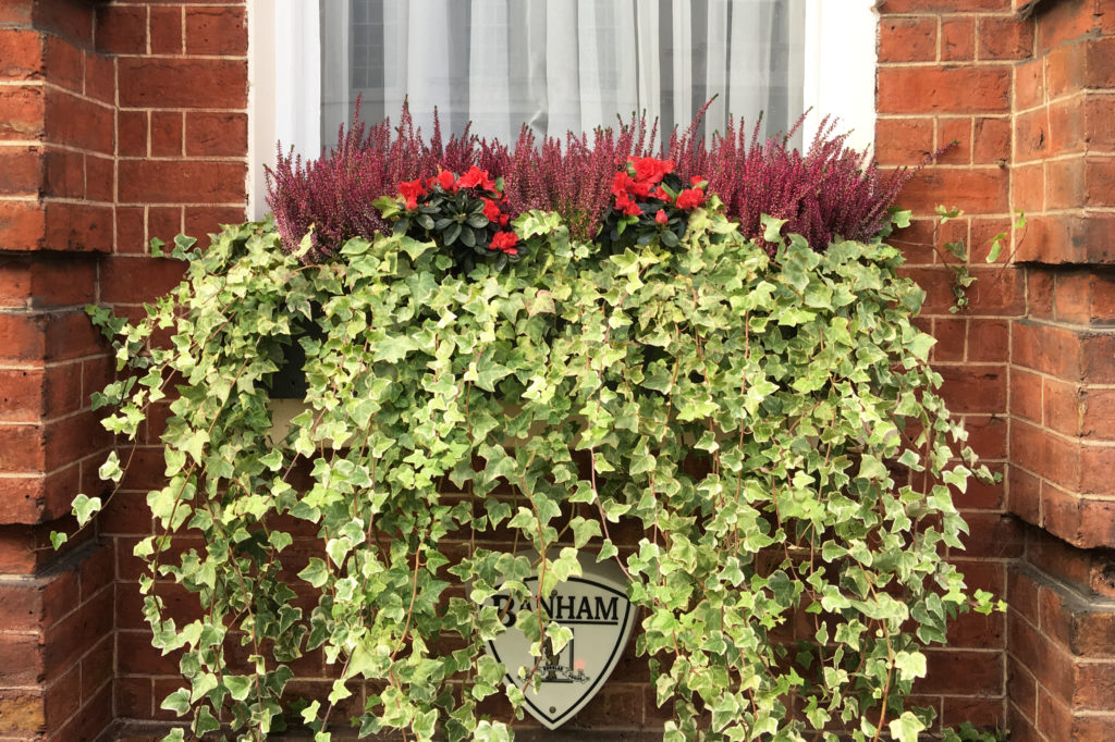 London window box with flowers