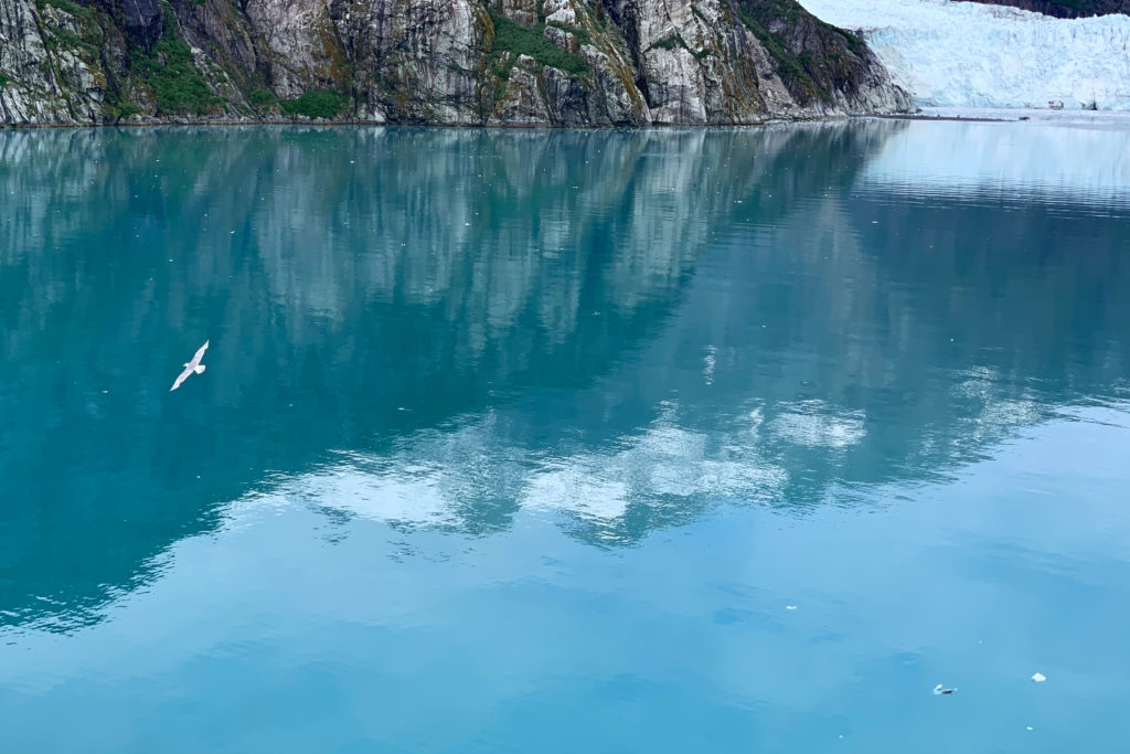 Photo Glacier Bay Alaska