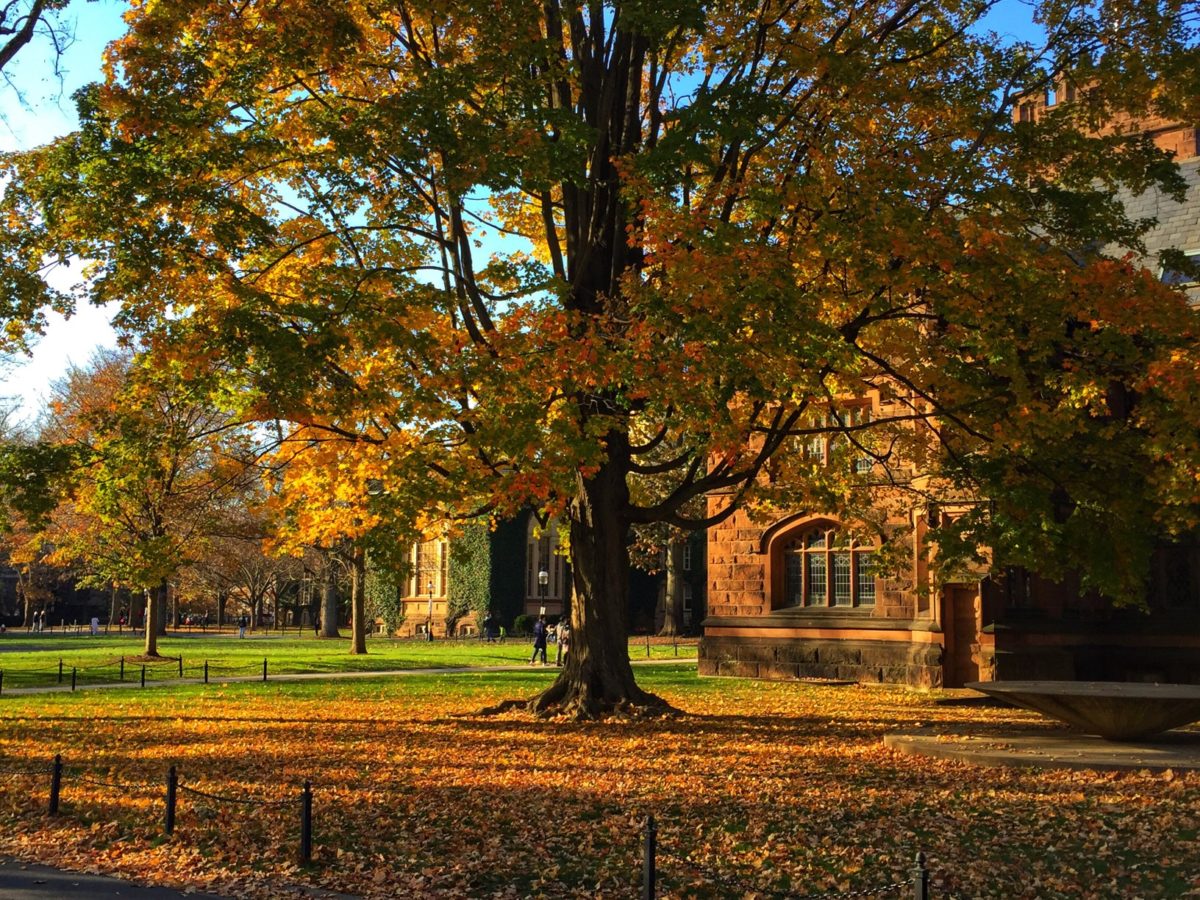 What Are The Best Movies Set On A College Campus Dandelion