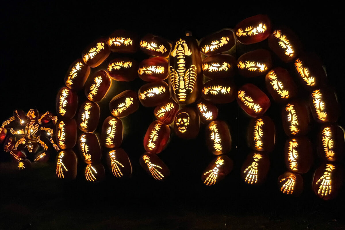 The Great Jack O'Lantern Blaze in NY is the perfect fun family adventure for Halloween