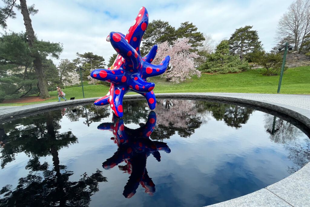 KUSAMA: Cosmic Nature at the New York Botanical Garden