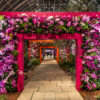 New York Botanical Garden Orchid Show 2025